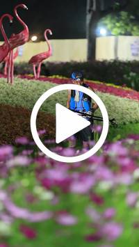 BIB:  <button type="button" onclick="openModal(27591026)" class="btn btn-primary btn-sm float-right" data-toggle="modal" data-target=".modal-high-quality">
                <i class="fa fa-download"></i> Download
                </button>